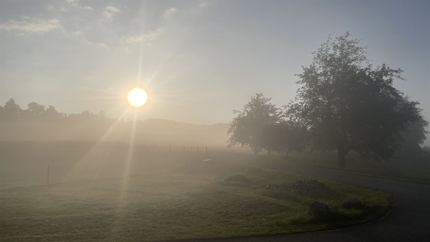 Morgennebel über den Feldern bei Sonnenaufgang
