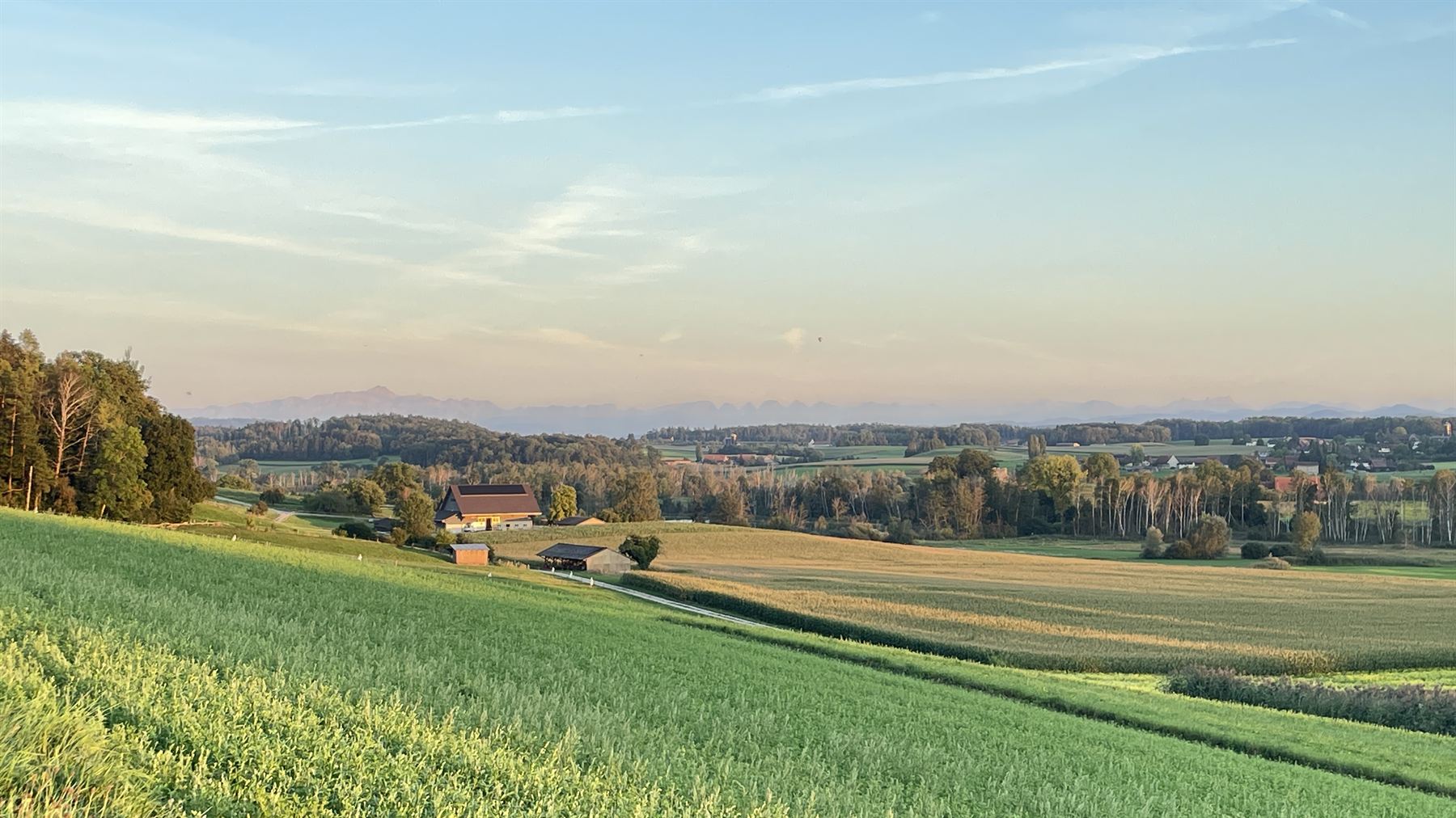 Sanfte Hügellandschaft rund um den Riethof im Sommer